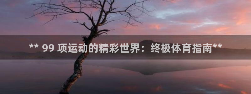 星娱乐文化传媒