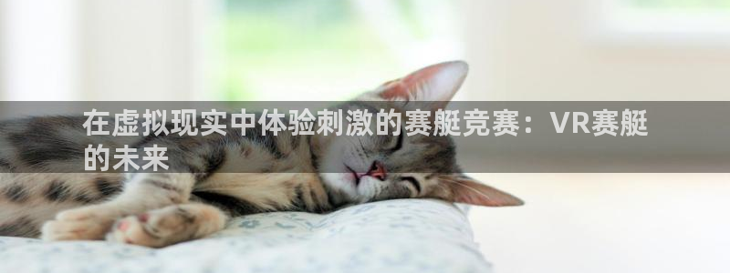 星欧娱乐属于什么档次的公司名称