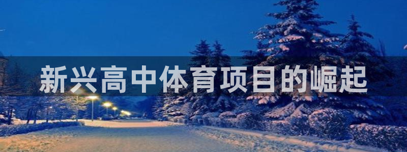 星娱乐是谁的公司