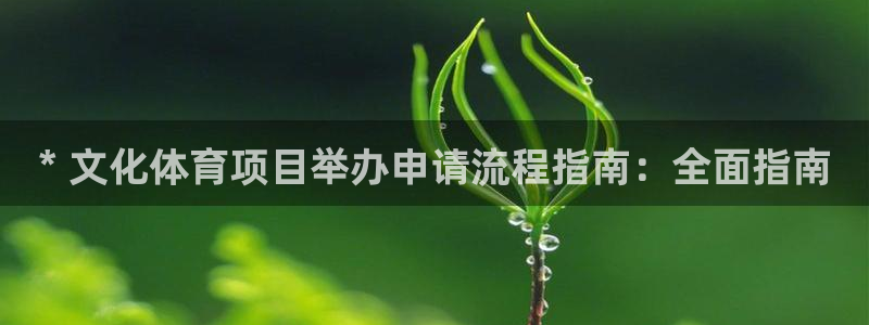 澳星国际娱乐集团