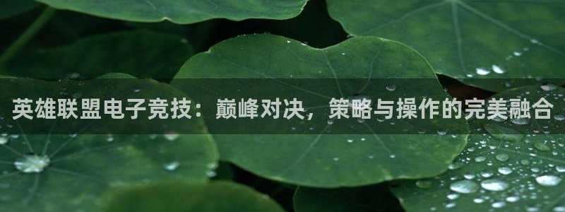 星奥娱乐集团股份有限公司招聘