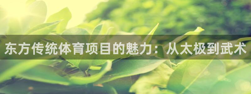星欧娱乐扣款流程详解视频