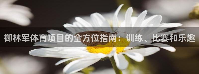 江苏星奥娱乐有限公司报名