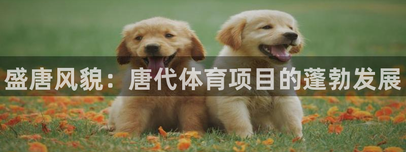 星欧娱乐工客服电话24小时人工服务