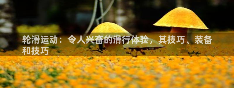 江苏星奥娱乐有限公司招聘