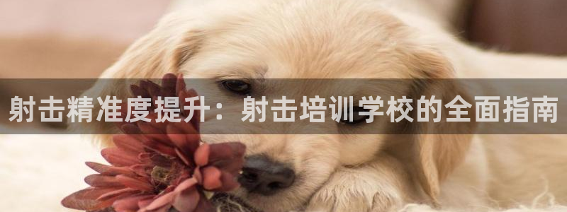 江苏星奥娱乐有限公司报名