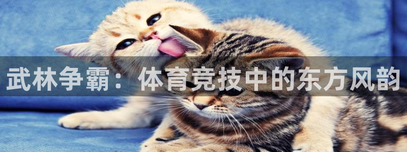 江苏星奥娱乐