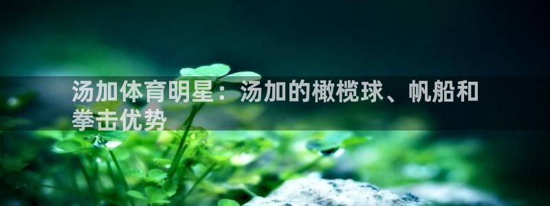 星欧娱乐扣款时间查询方法是什么