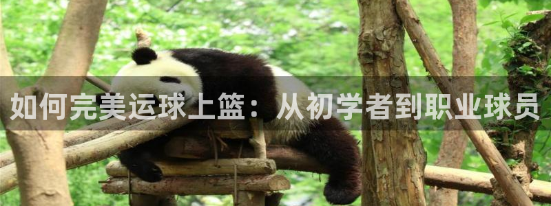 星欧娱乐最建议买的三个游戏是什么