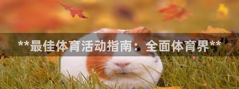 星欧娱乐官方客服联系方式是什么