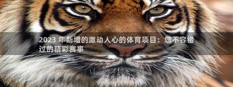 江苏星奥娱乐招艺人