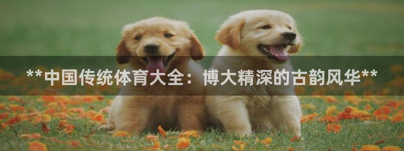 星奥娱乐集团股份有限公司官网