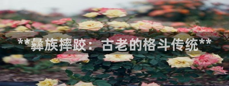 星欧娱乐官网首页