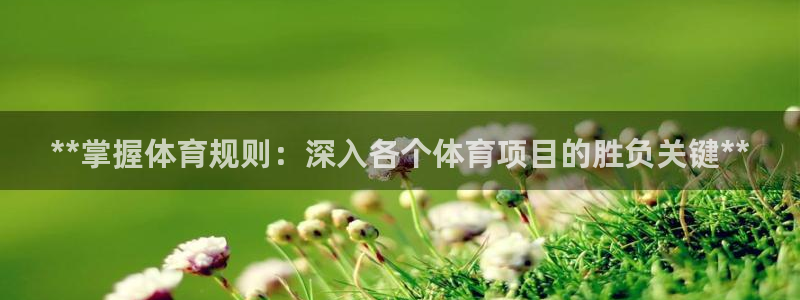 星欧娱乐是什么品牌