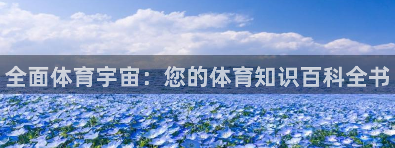星欧娱乐最建议买的三个游戏