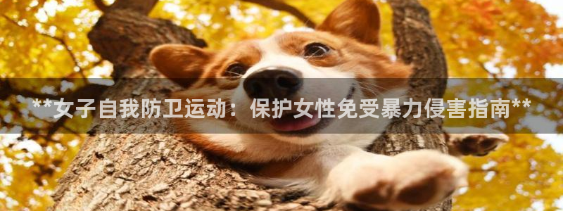 星欧娱乐最建议买的三个产品