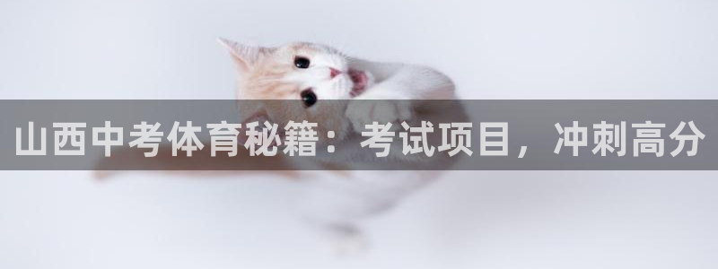 星澳娱乐公司怎么样