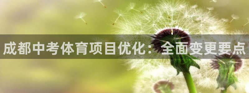 星游娱乐1官网下载