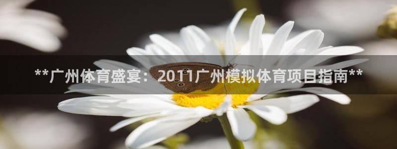 星欧娱乐扣费处理方法