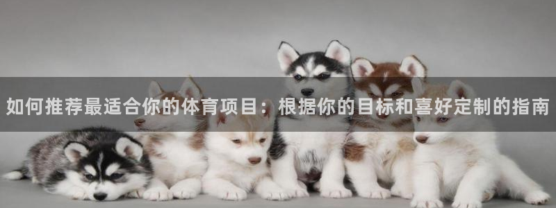 星欧娱乐的官方版本更新内容是什么