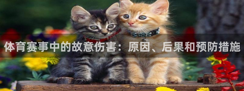 星欧娱乐最建议买的三个产品是什么呢