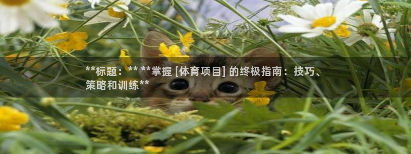 星欧娱乐公司简介