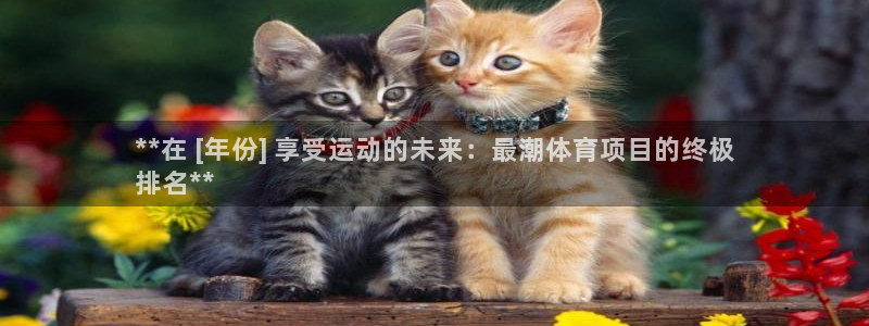 星欧娱乐最建议买的三个产品