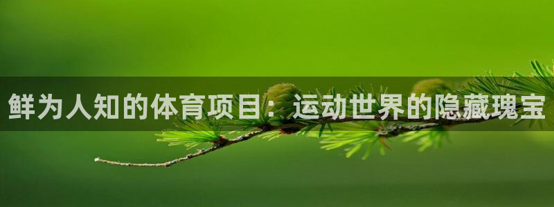 星奥娱乐集团是国企吗