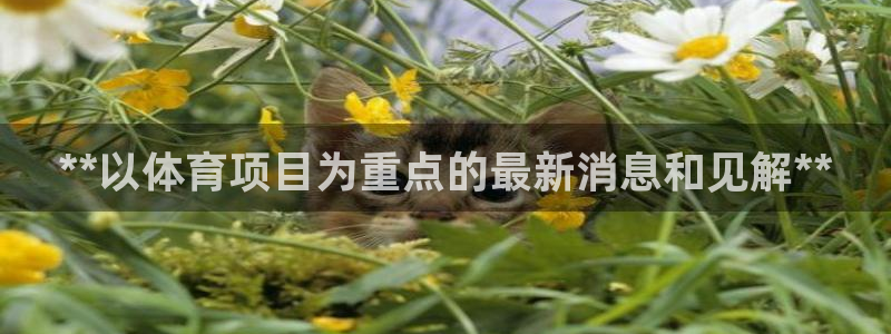 星欧娱乐公司电话号码查询