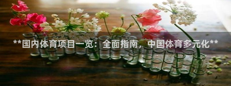 星奥娱乐集团股份有限公司招聘