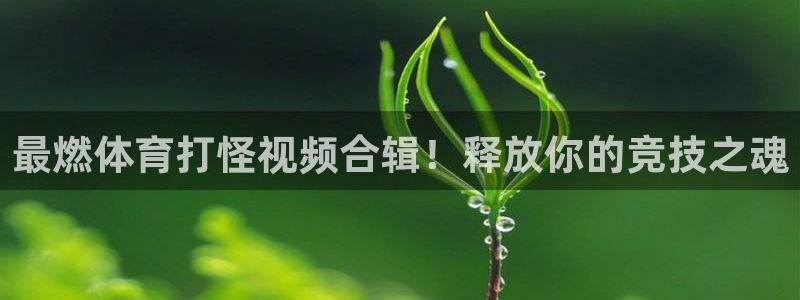星欧娱乐平台怎么样啊安全吗