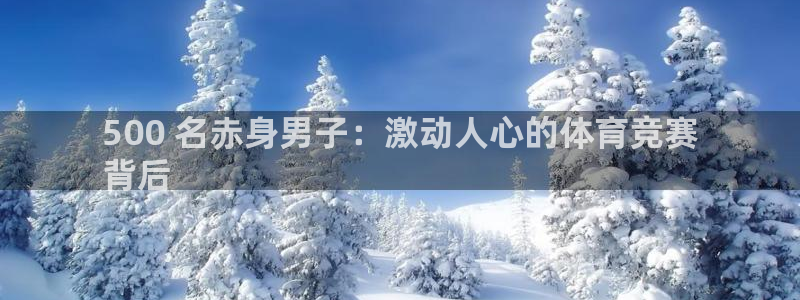 星欧娱乐联4.8.5.6.2.4.3下载