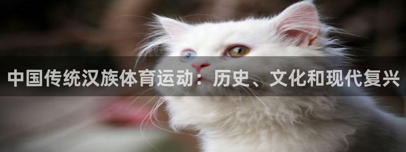 星奥娱乐集团股份有限公司官网