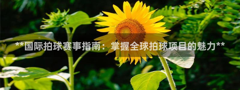 星欧娱乐扣款时间查询方法