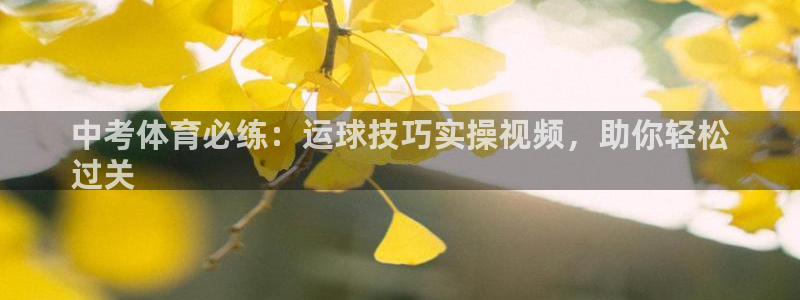 星欧娱乐公司地址