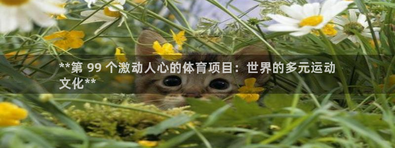 星欧娱乐挂机教程视频