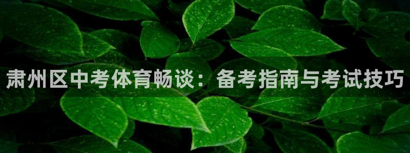 星欧娱乐公司创始人背景故事是什么