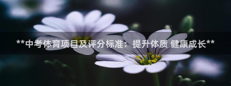 星欧娱乐扣款流程详解视频下载