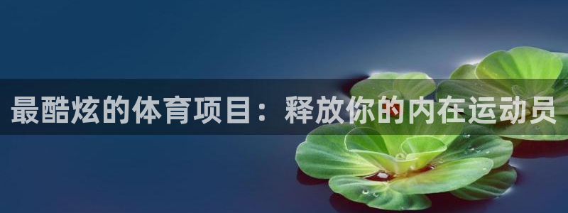 星欧娱乐公司电话号码