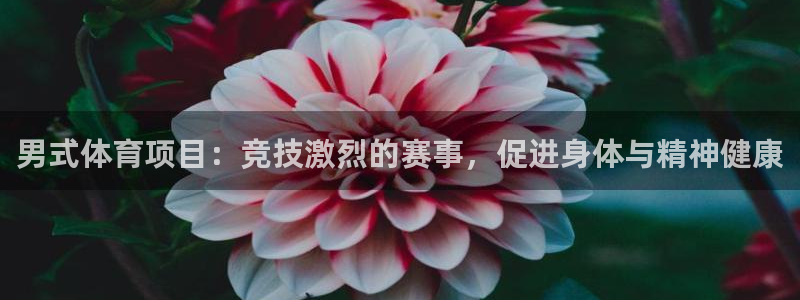 星欧娱乐扣款时间查询方法是什么意思