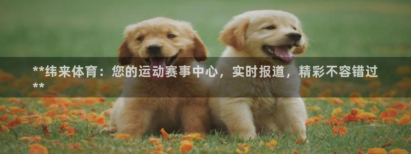 星欧娱乐的官方版本更新内容怎么删除
