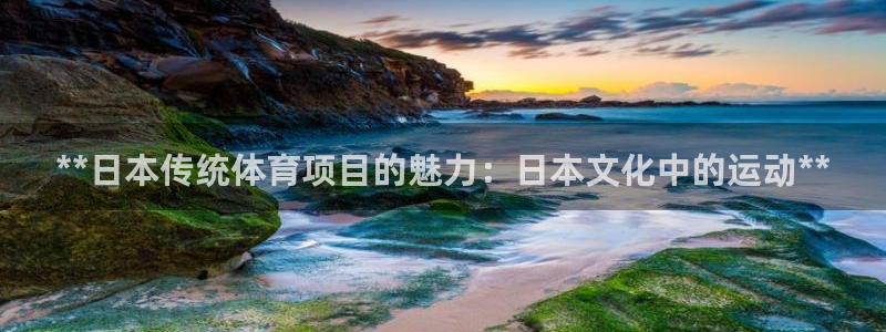 星奥娱乐怎么样知乎