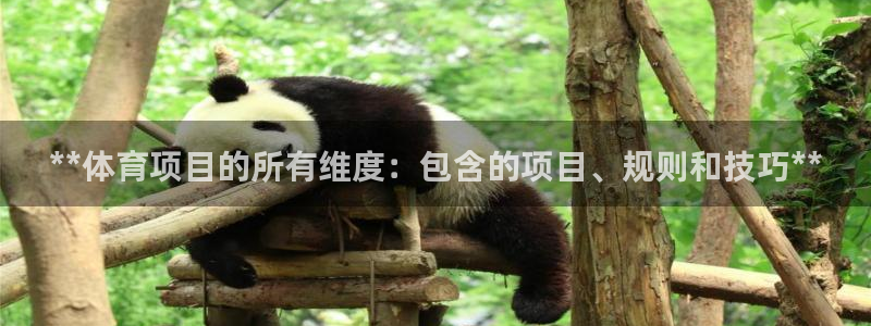 星欧娱乐挂机
