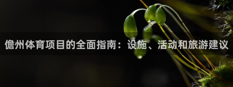 星欧娱乐还能玩吗