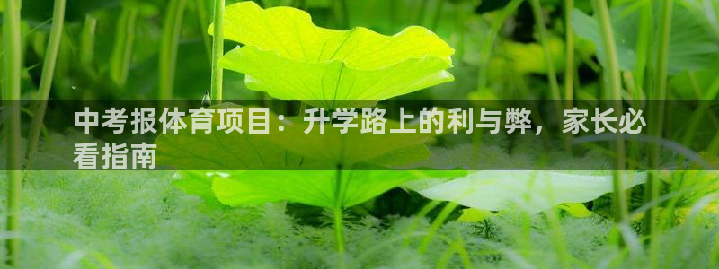 星欧娱乐平台怎么样啊