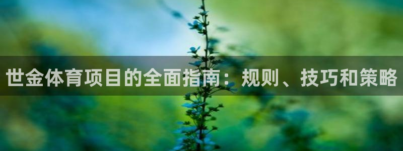 星欧娱乐用户名和密码