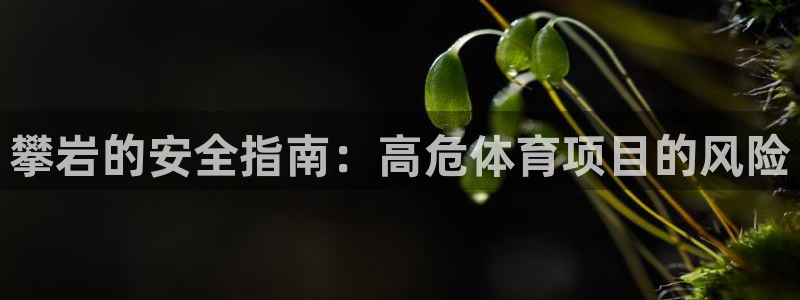 星娱乐包月是干嘛的