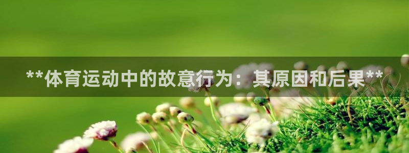 星娱乐文化传媒