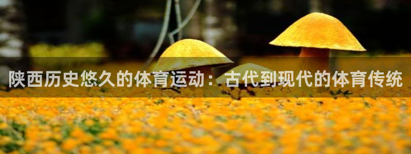 星欧娱乐官网