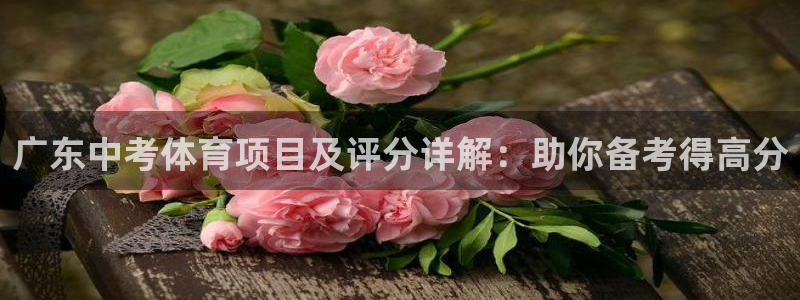 星欧娱乐最建议买的三个产品有哪些内容